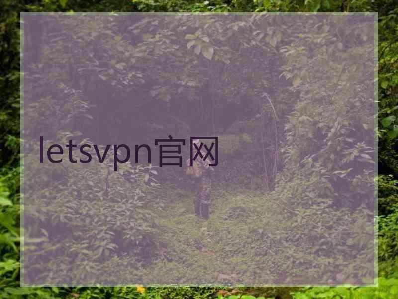 letsvpn官网