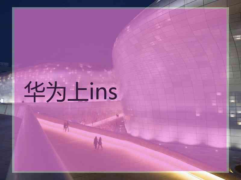 华为上ins