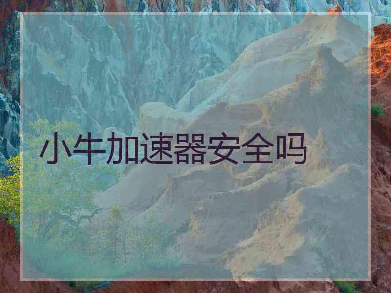 小牛加速器安全吗