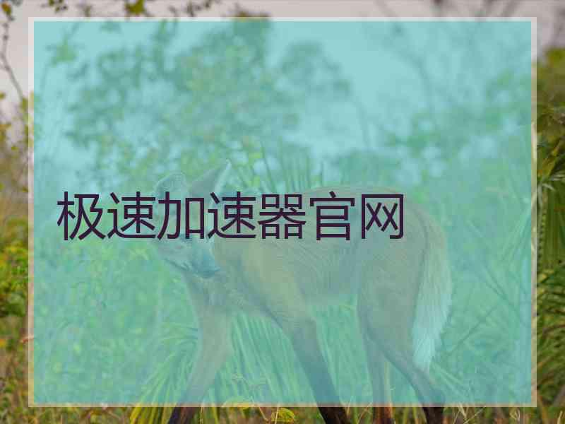 极速加速器官网
