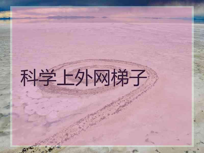 科学上外网梯子