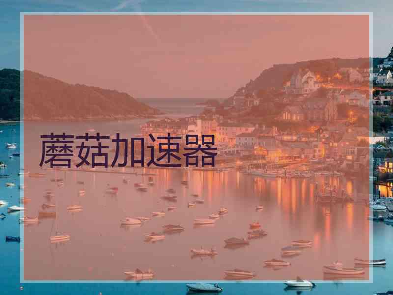 蘑菇加速器