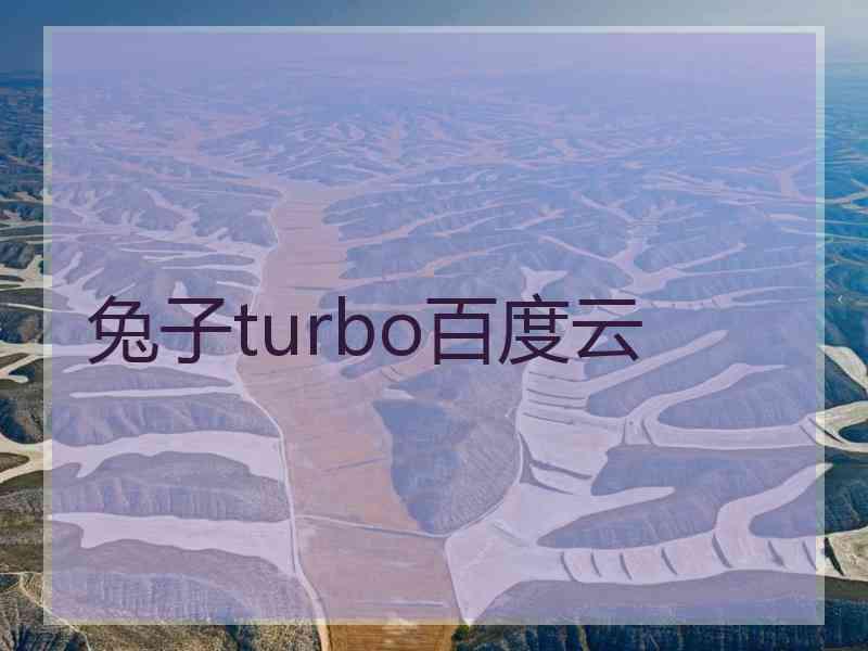 兔子turbo百度云