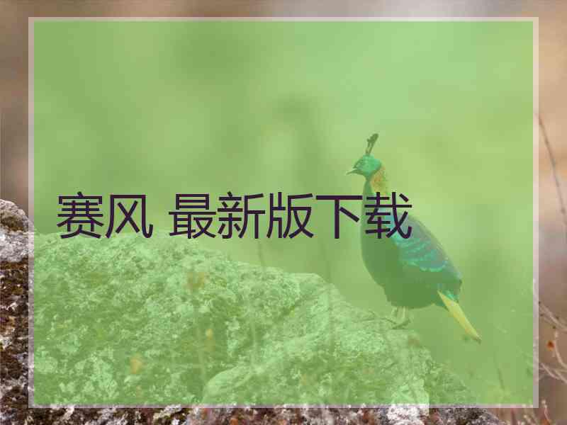 赛风 最新版下载