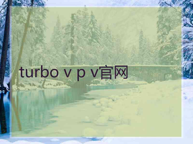 turbo v p v官网