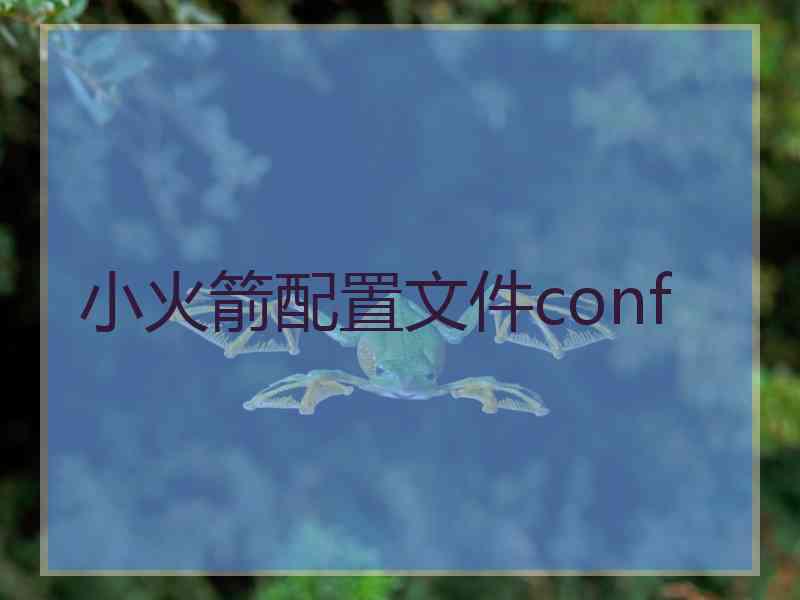 小火箭配置文件conf