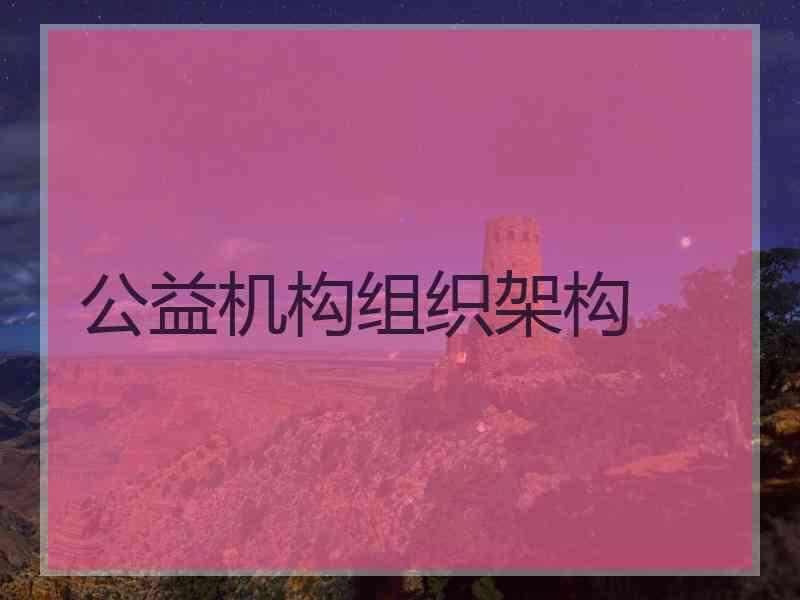 公益机构组织架构