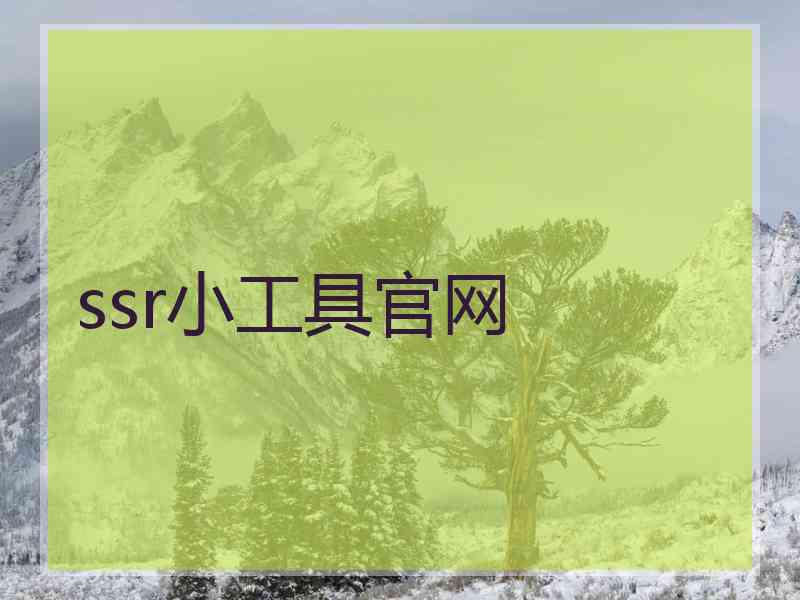 ssr小工具官网