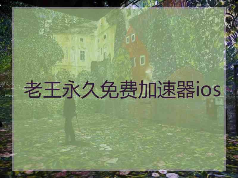 老王永久免费加速器ios