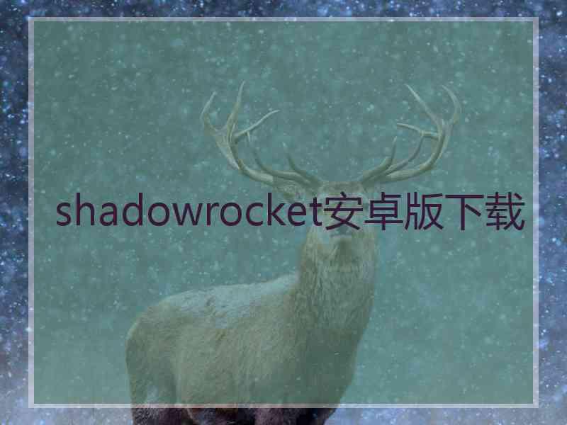 shadowrocket安卓版下载