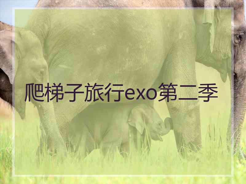 爬梯子旅行exo第二季
