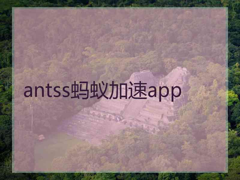 antss蚂蚁加速app