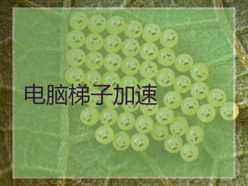 电脑梯子加速