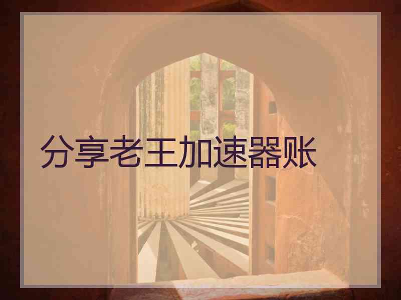 分享老王加速器账