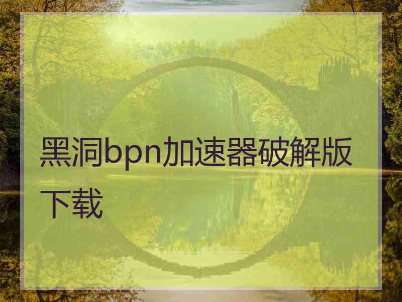 黑洞bpn加速器破解版下载