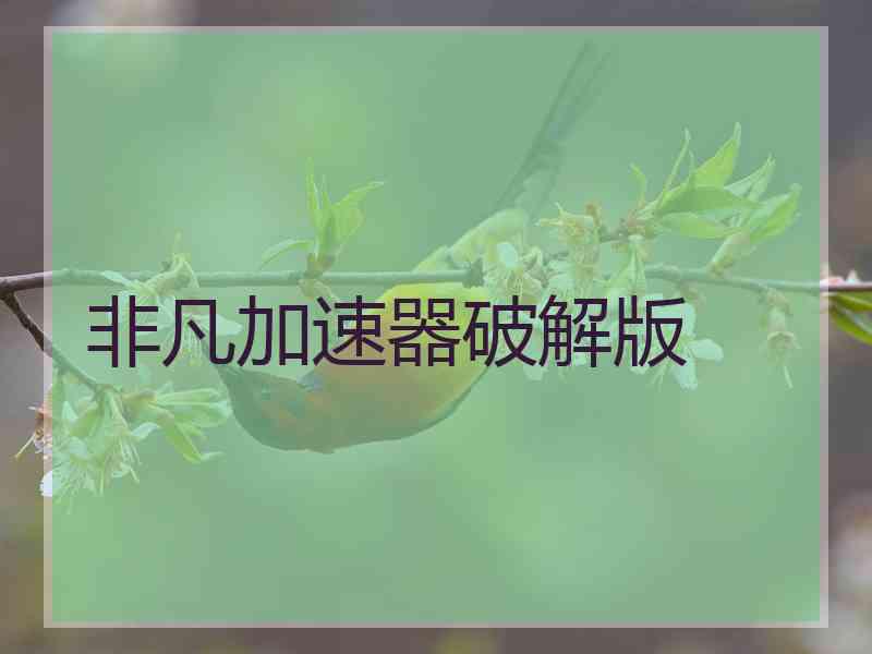 非凡加速器破解版