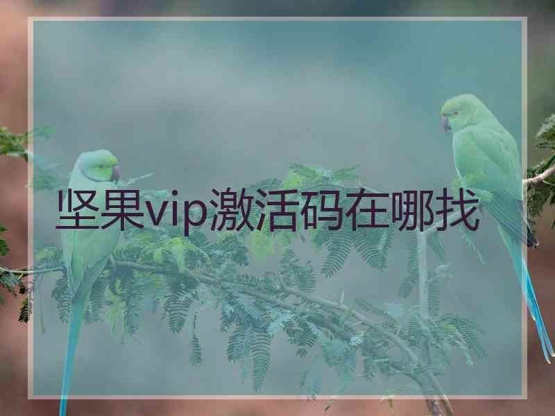 坚果vip激活码在哪找