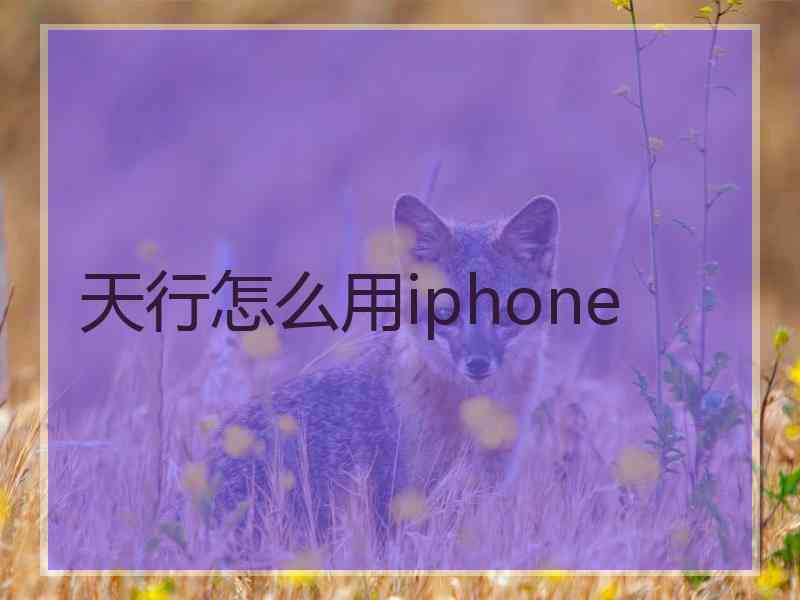 天行怎么用iphone