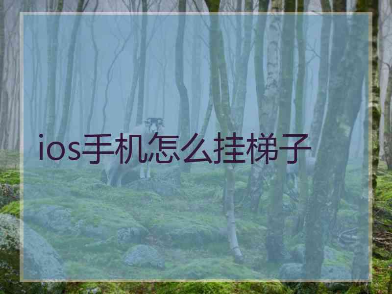 ios手机怎么挂梯子