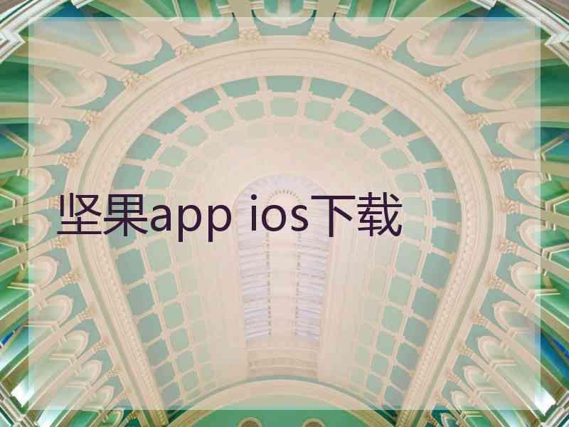 坚果app ios下载