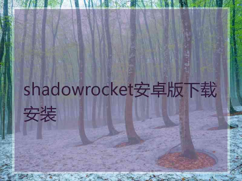 shadowrocket安卓版下载安装