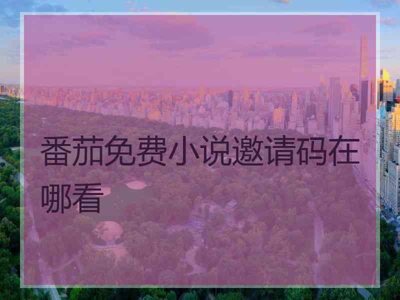 番茄免费小说邀请码在哪看