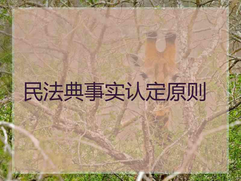 民法典事实认定原则