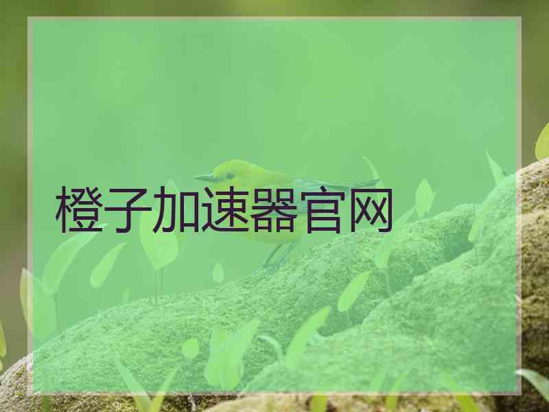 橙子加速器官网