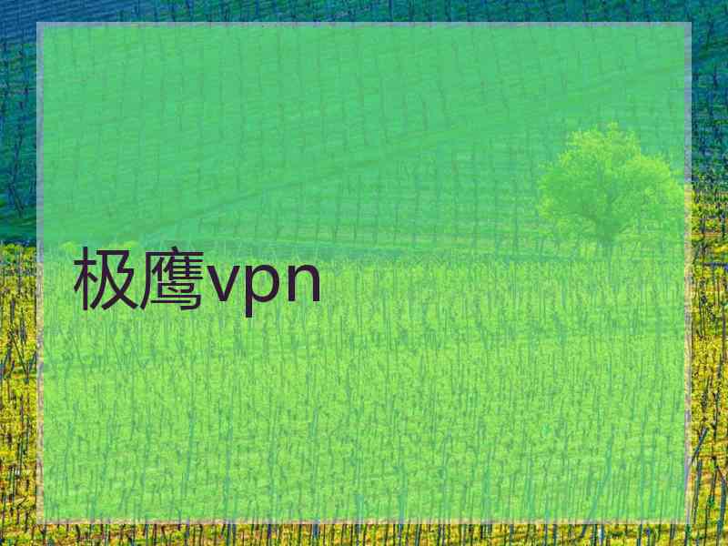 极鹰vpn