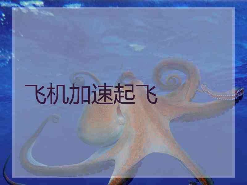 飞机加速起飞