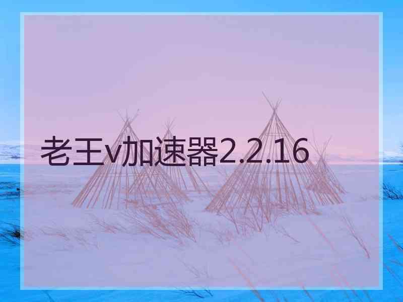 老王v加速器2.2.16