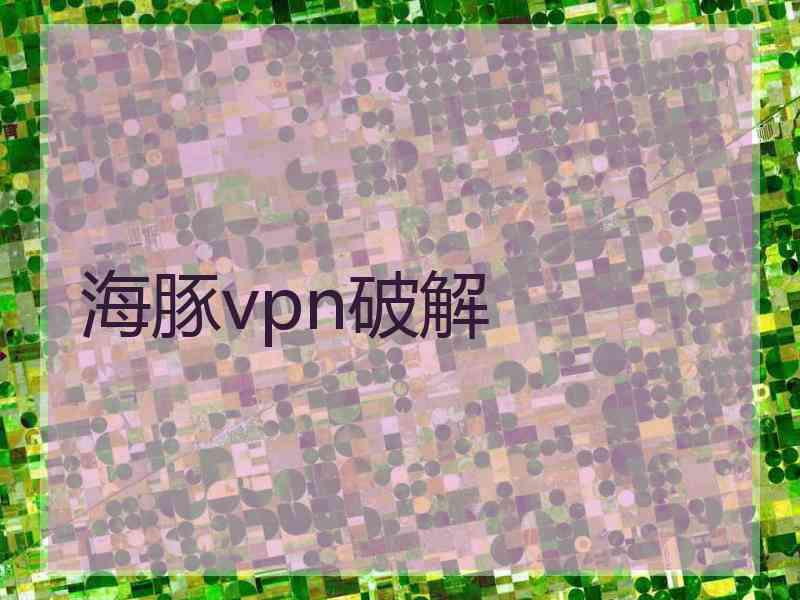 海豚vpn破解