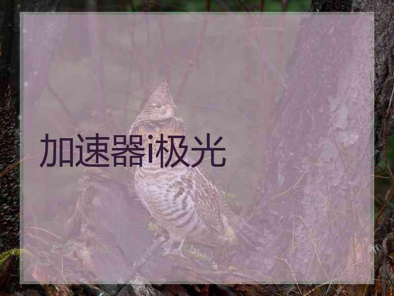 加速器i极光