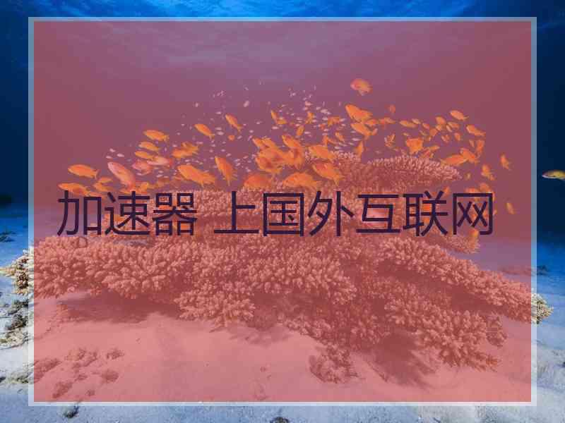 加速器 上国外互联网
