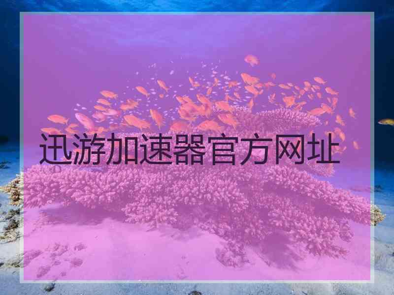 迅游加速器官方网址