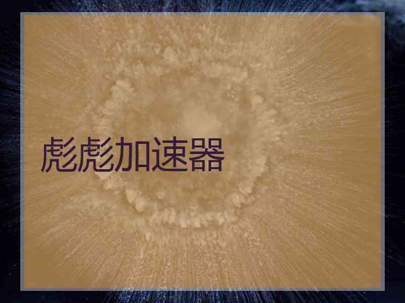 彪彪加速器