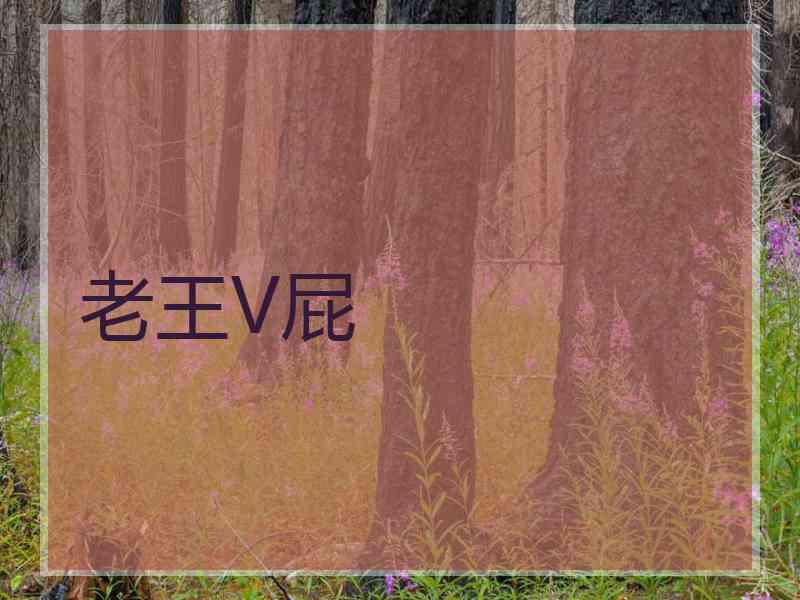 老王V屁