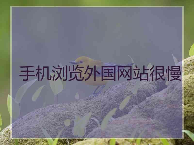 手机浏览外国网站很慢