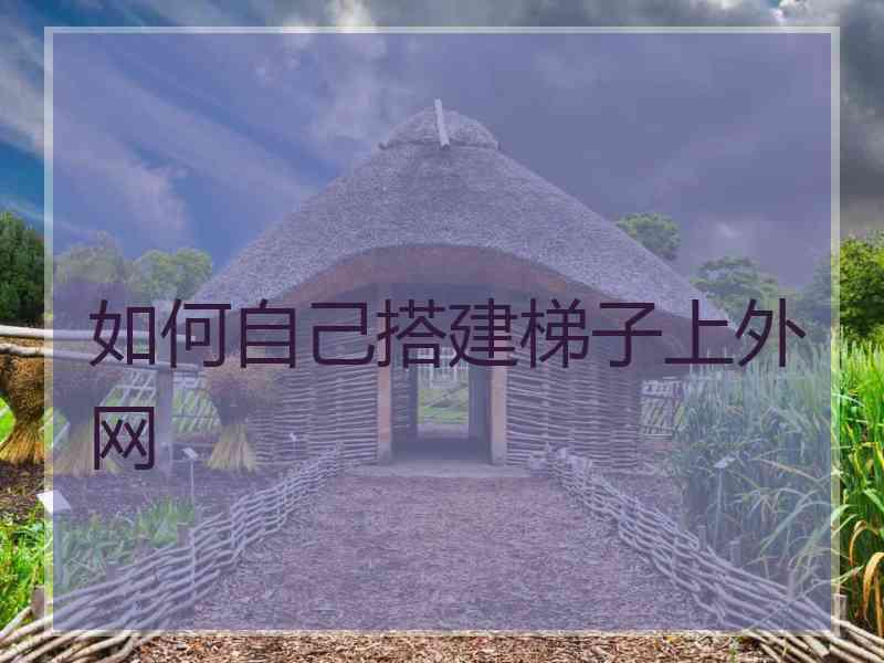 如何自己搭建梯子上外网
