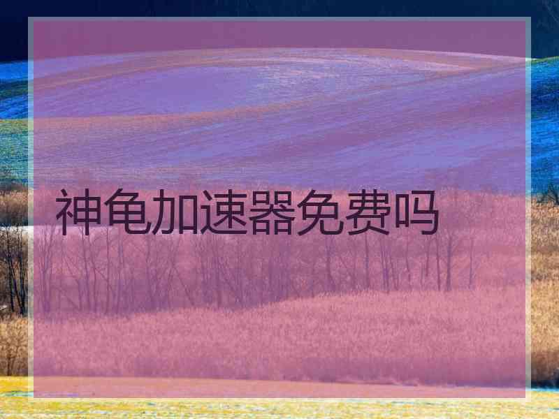 神龟加速器免费吗