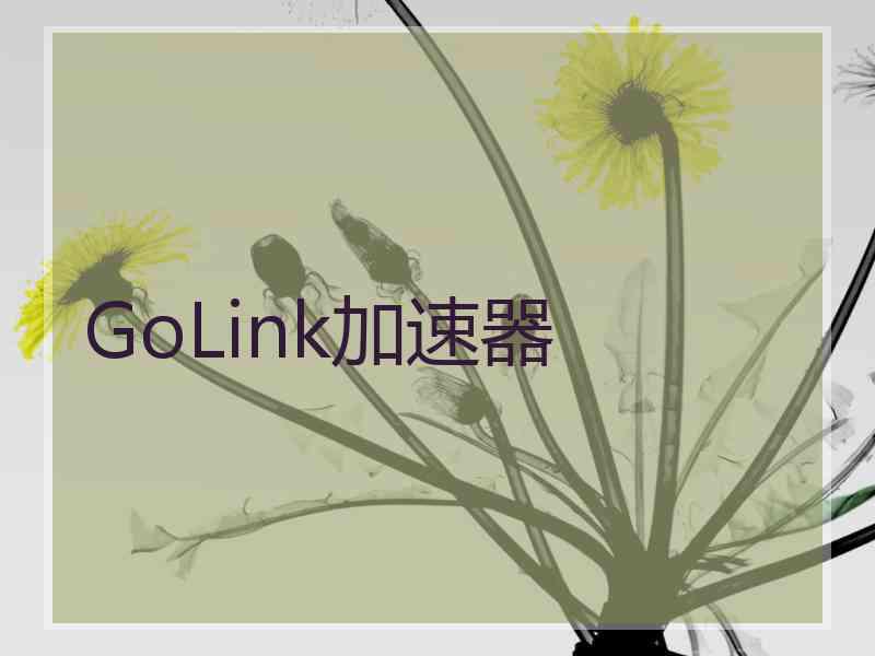 GoLink加速器