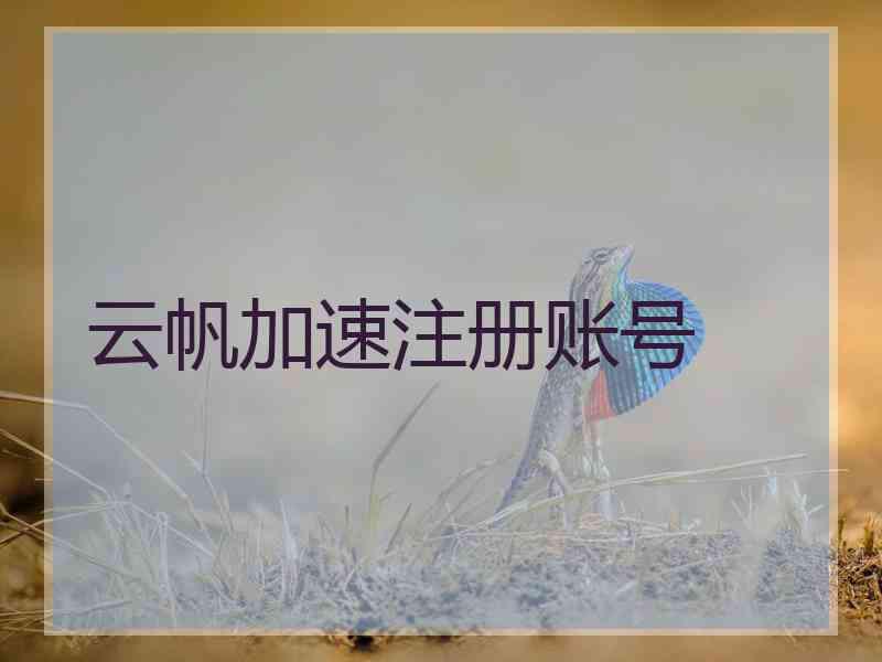 云帆加速注册账号