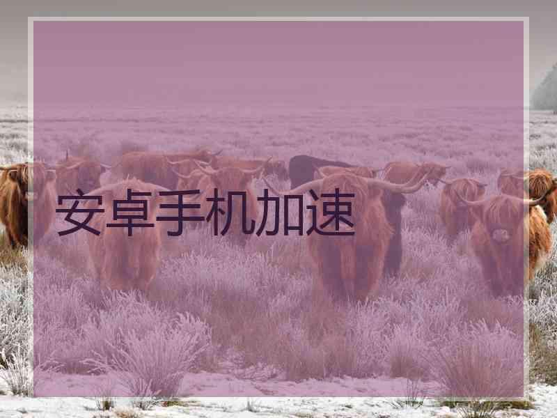 安卓手机加速