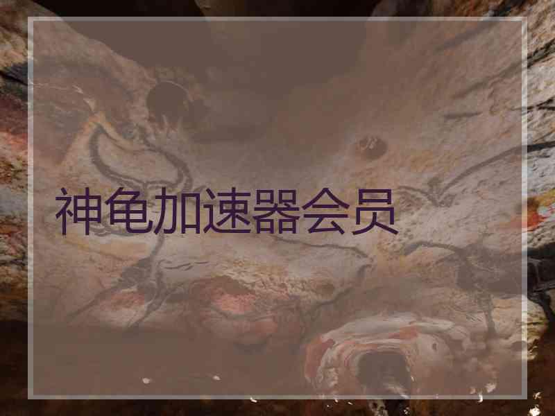 神龟加速器会员