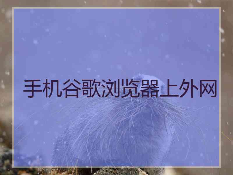 手机谷歌浏览器上外网
