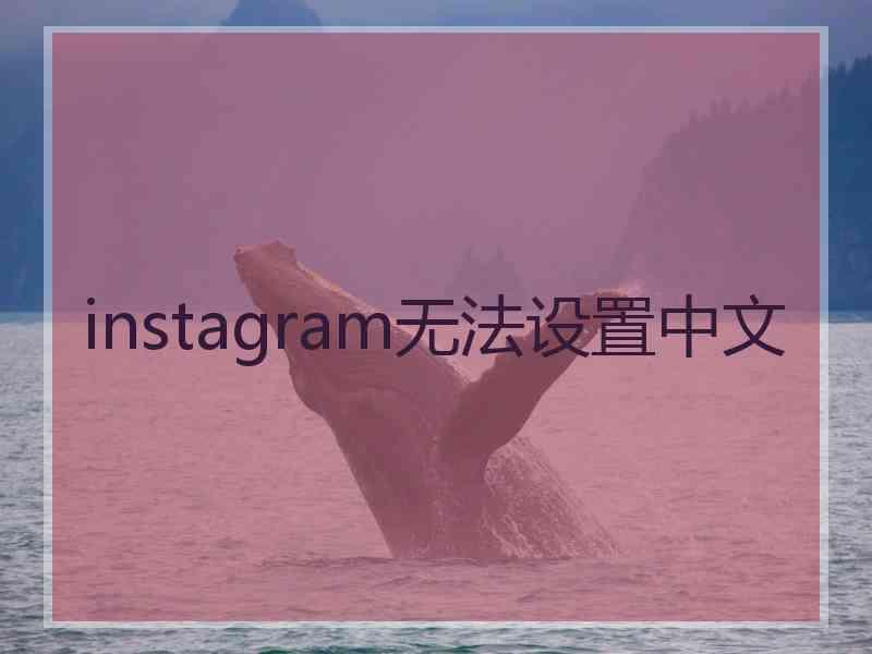 instagram无法设置中文