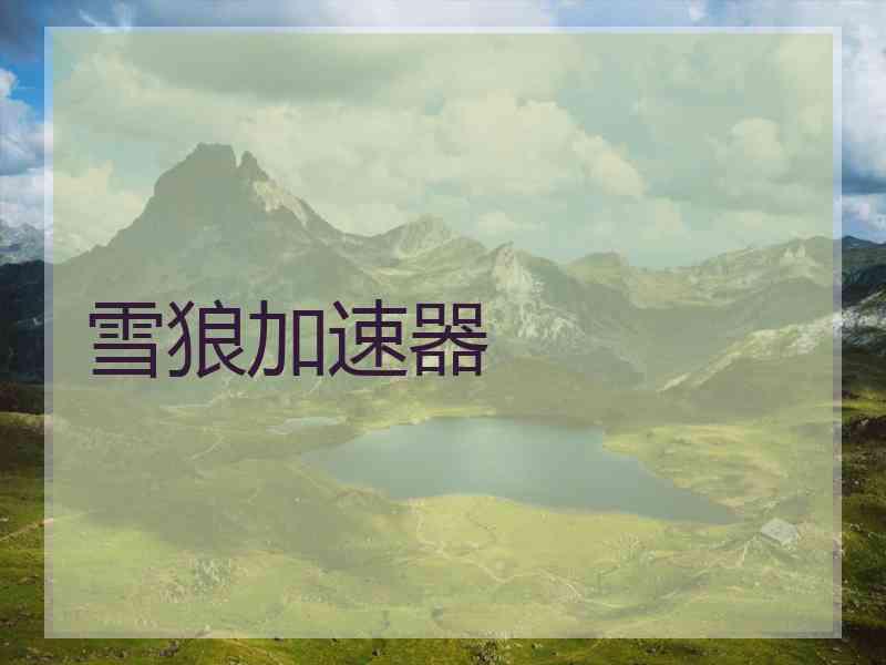雪狼加速器
