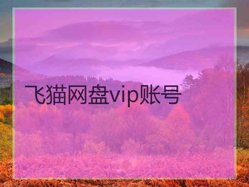 飞猫网盘vip账号