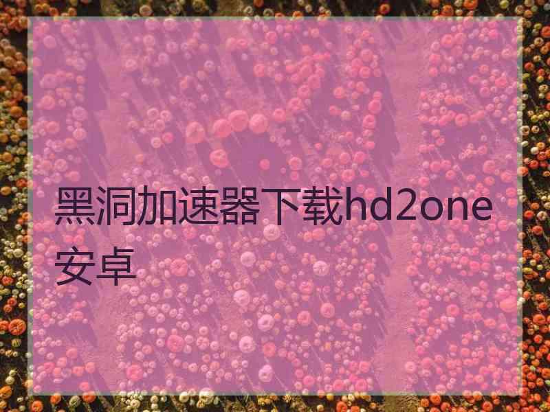 黑洞加速器下载hd2one安卓