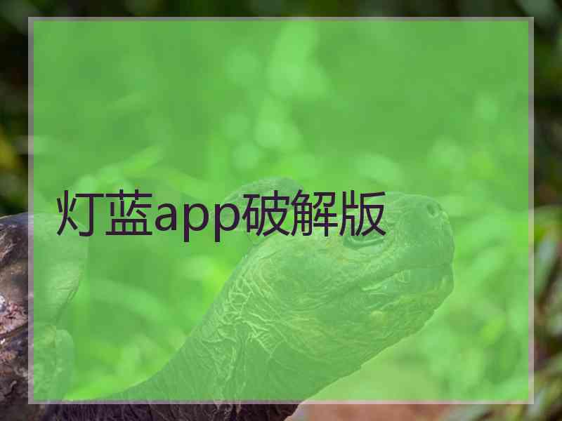 灯蓝app破解版